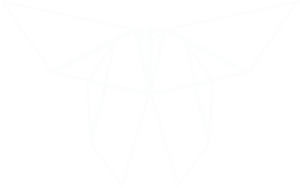 chrysalide-logo-white-transparent chrysalide-logo-white-transparent
